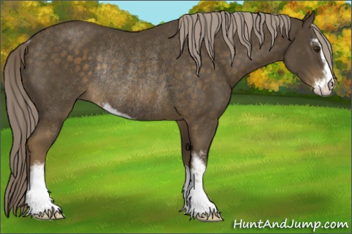 Horse Color:Chocolate Palomino Sabino Rabicano 