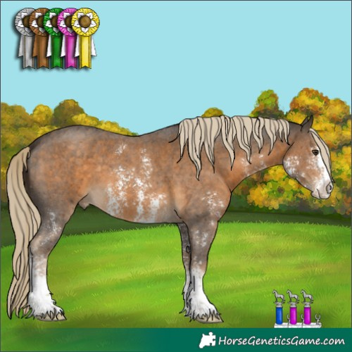 Horse Color:Chocolate Palomino Sabino 