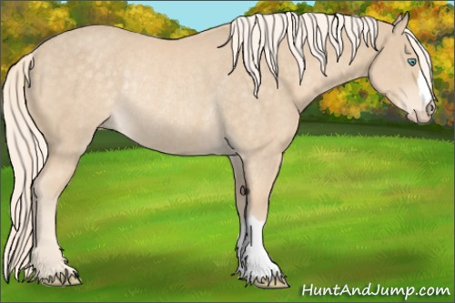 Horse Color:Cremello Rabicano 