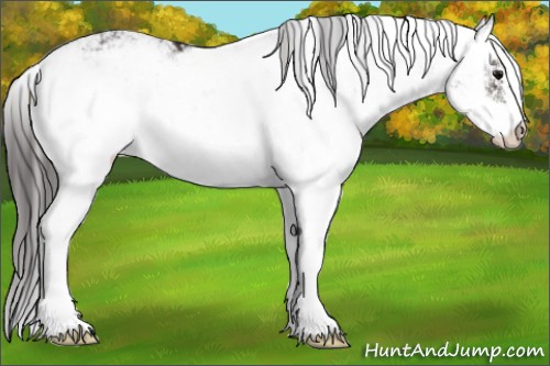 Horse Color:Smoky Black Sabino Rabicano 