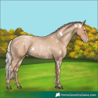 Horse Color:White Spotted Silver Blue Roan Pearl 