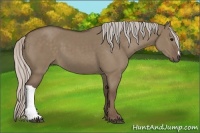 Horse Color:Silver Grullo 