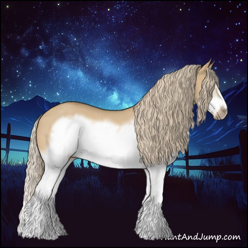 Horse Color:Red Dun Roan Splash Frame Rabicano 