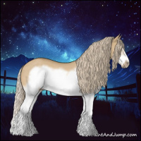 Horse Color:Red Dun Roan Splash Frame Rabicano 