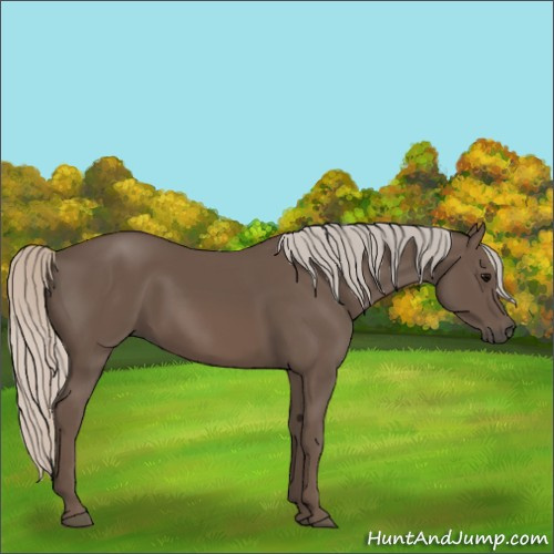 Horse Color:Silver Black 