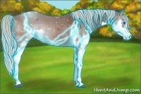 Horse Color:Thunderstruck Silver Black Splash 