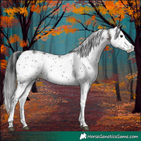 Horse Color:Brown Sabino