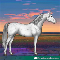 Horse Color:Brown Sabino 