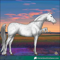Horse Color:Brown Sabino