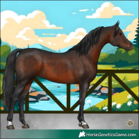 Horse Color:Brown 
