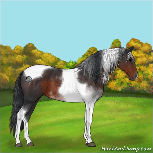Horse Color:Brown Tobiano 