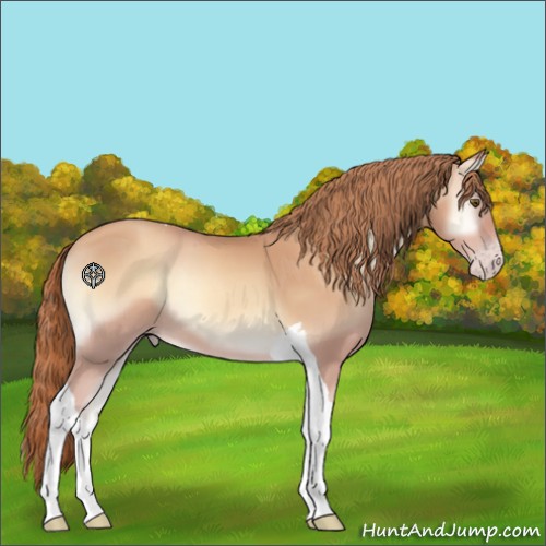 Horse Color:Gold Champagne Onyx Tobiano 