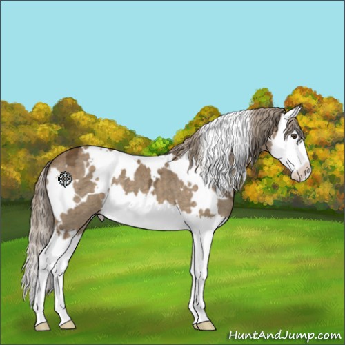 Horse Color:White Spotted Chocolate Palomino Ice Splash 