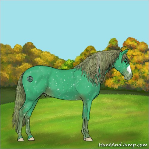 Horse Color:Watercolor Liver Chestnut Appaloosa 
