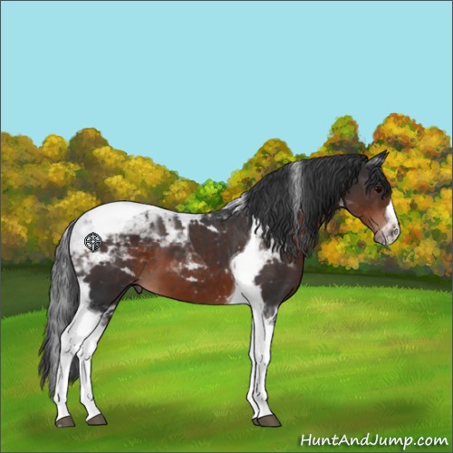 Horse Color:Brown Tobiano 