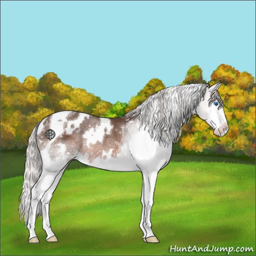 Horse Color:White Spotted Silver Brown Mushroom Splash Tobiano Rabicano 
