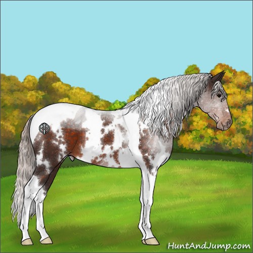 Horse Color:White Spotted Silver Brown Tobiano 