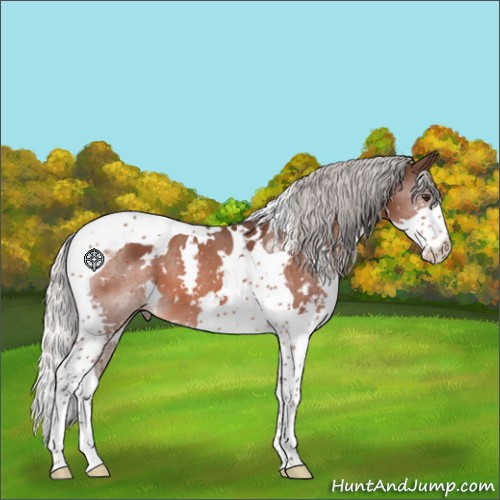 Horse Color:White Spotted Silver Brown Mushroom Splash Tobiano 
