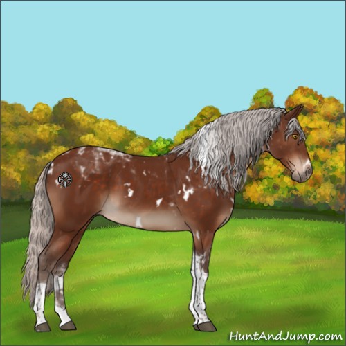 Horse Color:White Spotted Silver Brown Tobiano 