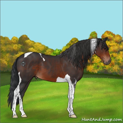 Horse Color:Brown Tobiano 