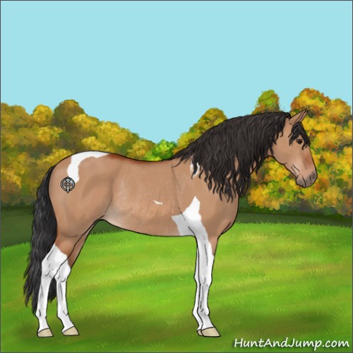 Horse Color:Brown Dun Tobiano Rabicano 