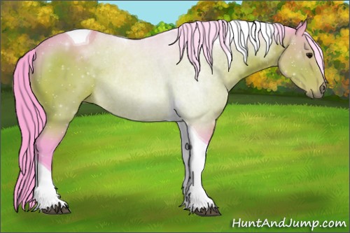 Horse Color:Watercolor Bay Sabino Tobiano 