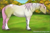 Horse Color:Watercolor Bay Sabino Tobiano 