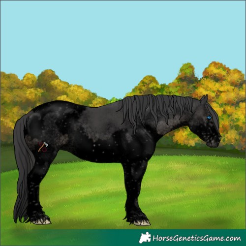 Horse Color:Void Black Splash Tobiano Frame 
