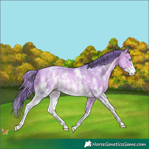 Horse Color:Watercolor Buckskin Pearl Sabino 