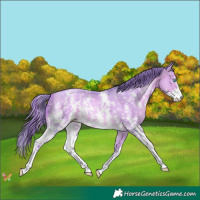 Horse Color:Watercolor Buckskin Pearl Sabino 