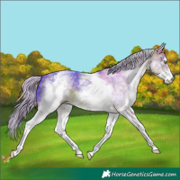 Horse Color:Watercolor White Spotted Silver Buckskin 