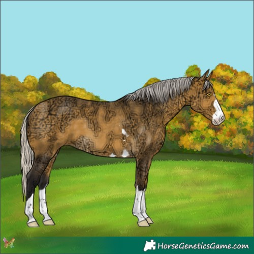 Horse Color:Silver Buckskin Ice