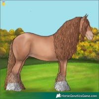 Horse Color:Gold Champagne