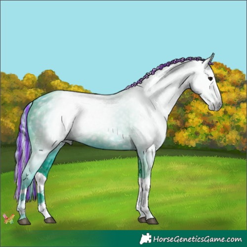 Horse Color:Gray Painted Watercolor Black Splash 