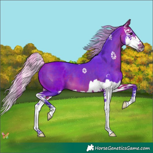 Horse Color:Watercolor Silver Brown Splash 