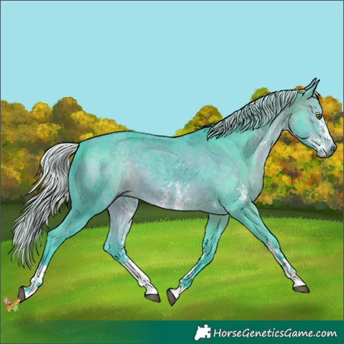 Horse Color:Watercolor Silver Brown Sabino 