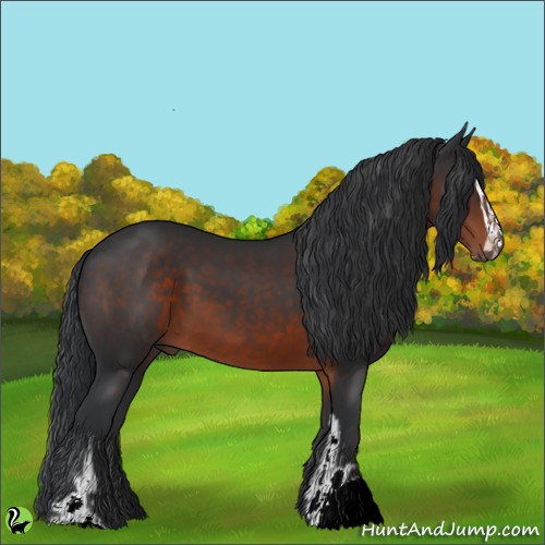 Horse Color:Brown Sabino 