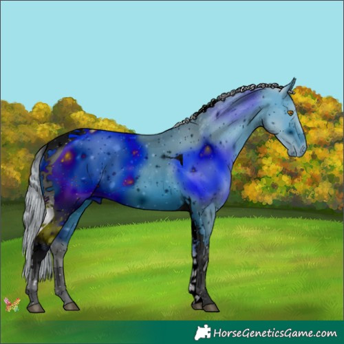 Horse Color:ERROR: UNKNOWN ANOMALY