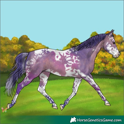 Horse Color:Watercolor Bay Splash Tobiano 