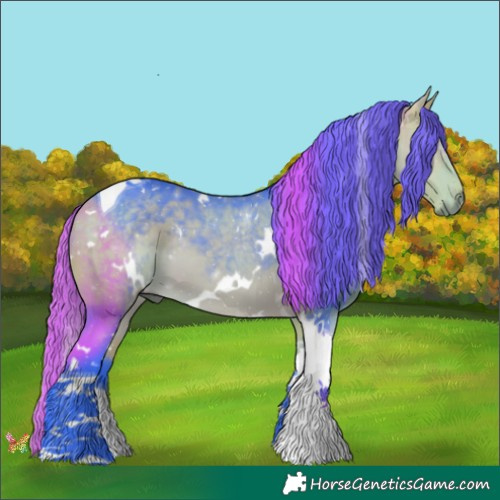 Horse Color:Watercolor White Spotted Buckskin Tobiano 