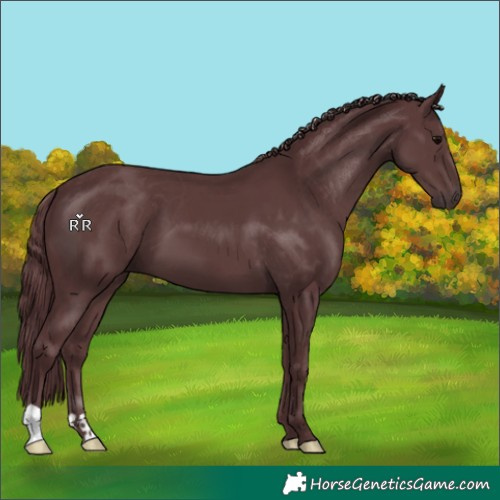 Horse Color:Platinum Chocolate Black 