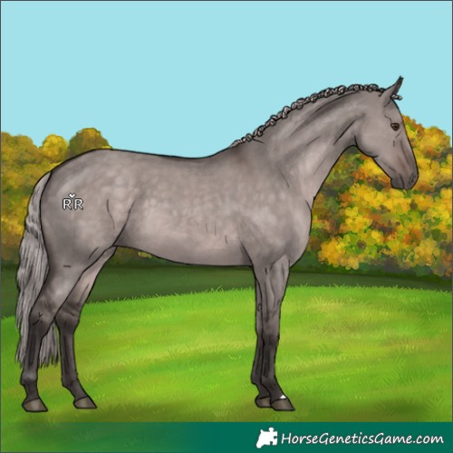 Horse Color:Platinum Liver Red Dun 