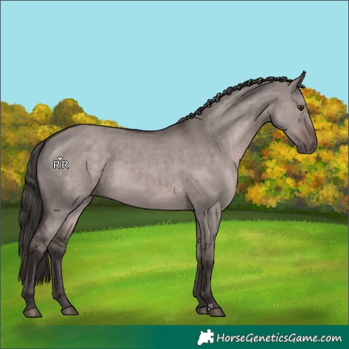 Horse Color:Platinum Liver Red Dun 
