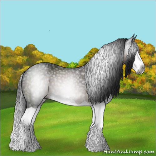 Horse Color:Gray Brown Splash Rabicano 