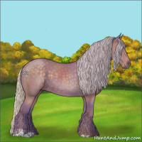 Horse Color:Watercolor Silver Black Sabino 