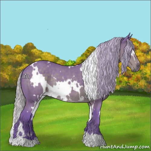Horse Color:Watercolor White Spotted Silver Black Rabicano
