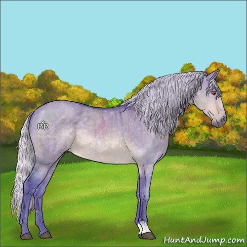 Horse Color:Watercolor Silver Brown Chinchilla Dun Brindle 