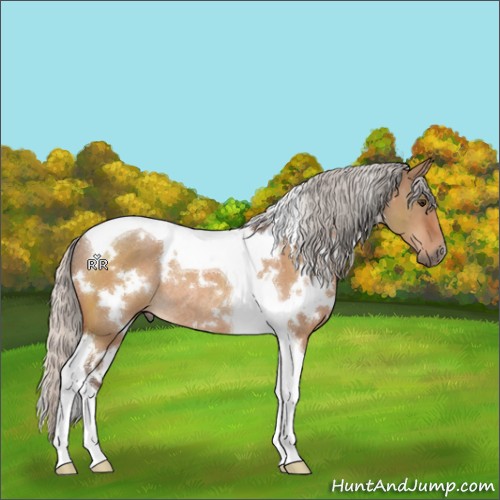 Horse Color:White Spotted Silver Brown Dun Tobiano Rabicano 