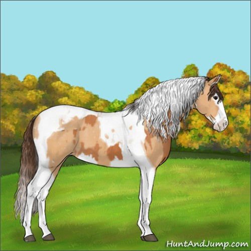 Horse Color:Bay Splash Tobiano Varnish  and Bay Dun Splash Tobiano Varnish 