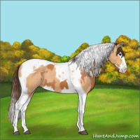Horse Color:Bay Splash Tobiano Varnish and Bay Dun Splash Tobiano Varnish